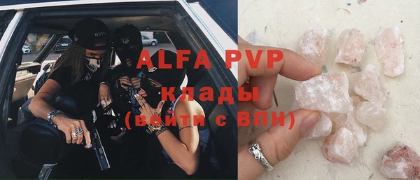 сатива Козловка