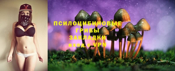 бошки Кодинск