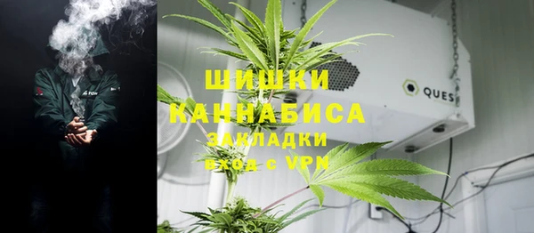 сатива Козловка