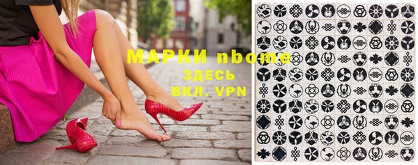 сатива Козловка