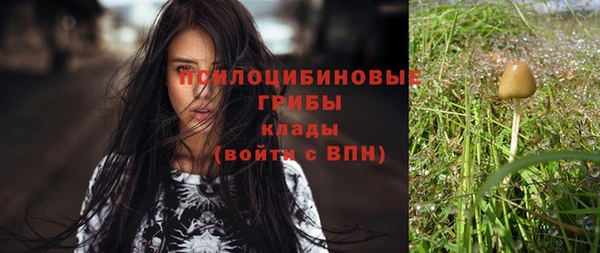 бошки Кодинск
