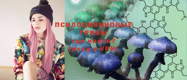 сатива Козловка