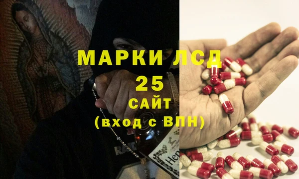 сатива Козловка
