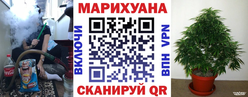 Каннабис ГИДРОПОН  Купить где  Куса 